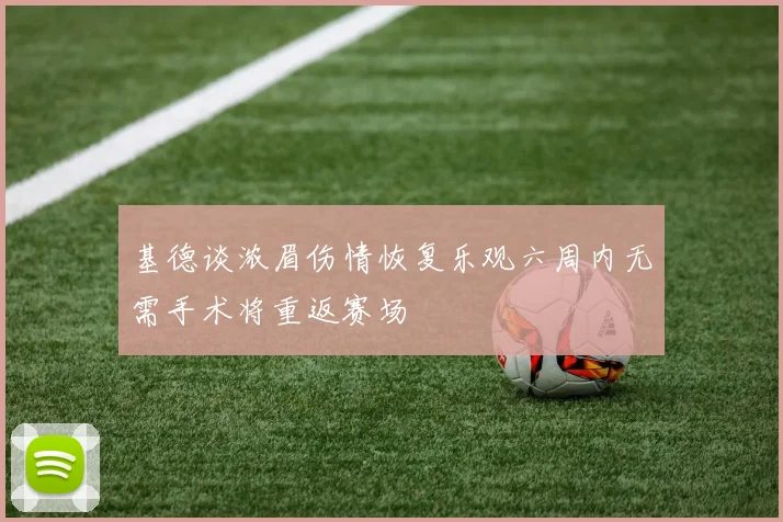 基德谈浓眉伤情恢复乐观六周内无需手术将重返赛场