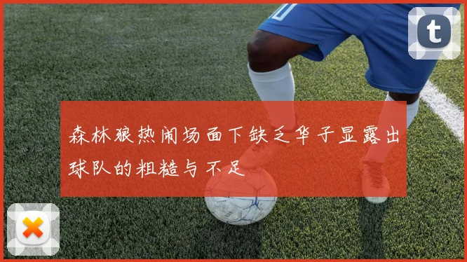 森林狼热闹场面下缺乏华子显露出球队的粗糙与不足